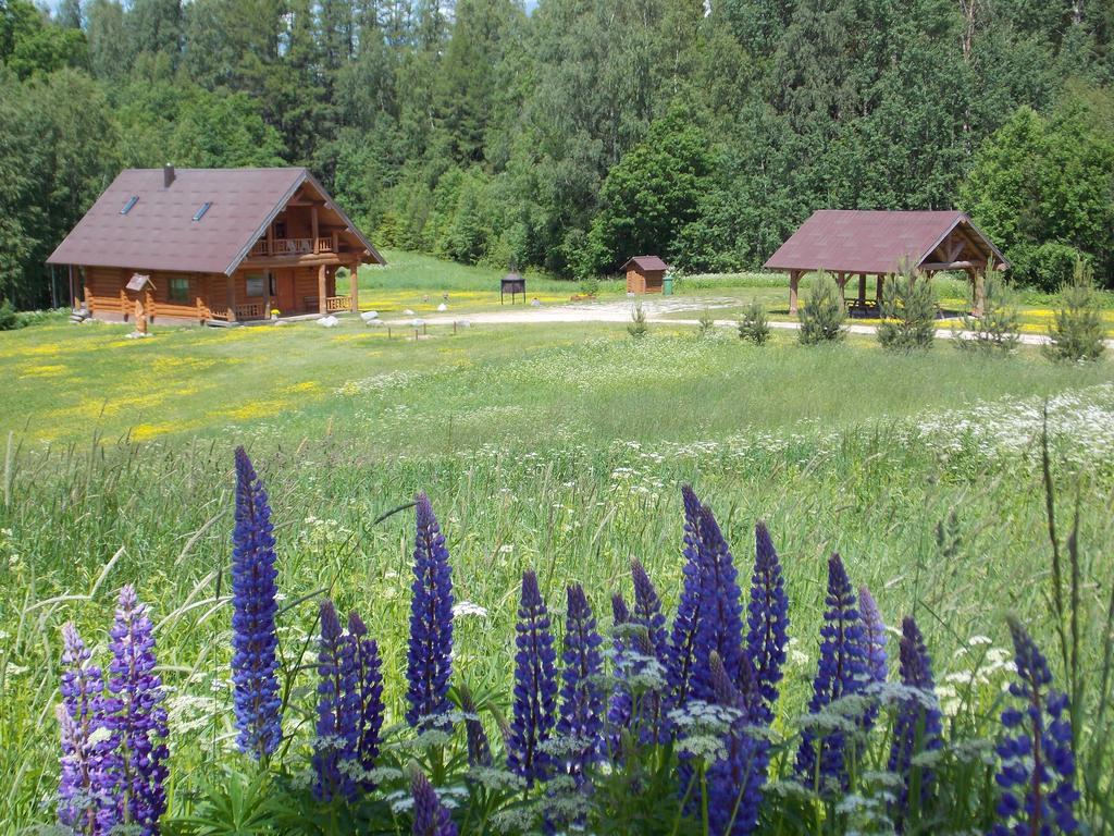 Guest House Kalnini Kārļi Eksteriør bilde